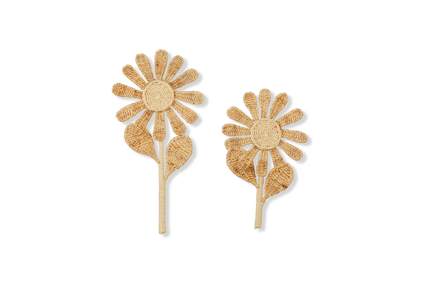 Two wicker made flowers sit on a white background. Brown in color with petals and leaves. Rattan flower wall decor. Faux flowers. 